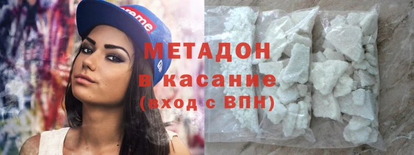 шишки Арсеньев