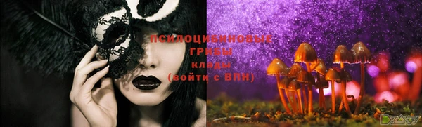 ECSTASY Аркадак