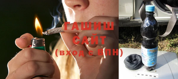шишки Арсеньев