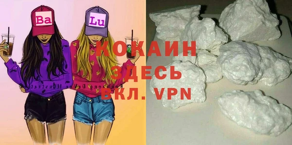 шишки Арсеньев