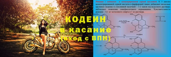шишки Арсеньев