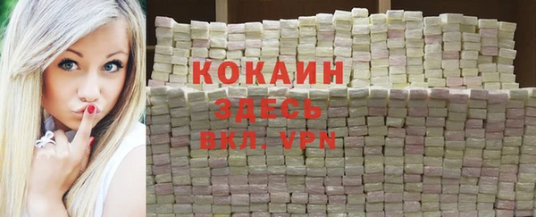шишки Арсеньев
